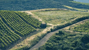 Image pris de haut du Domaine de Cébène